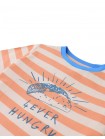 Boys' Taco Stripe Graphic Tee