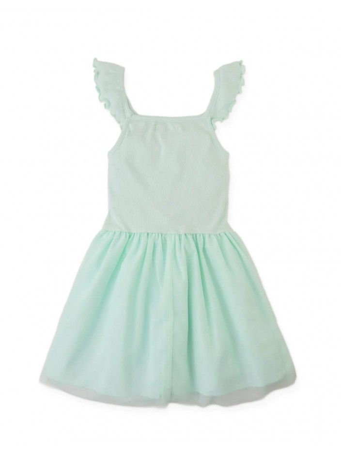 Elara Drop-Waist Dress with Tulle Skirt