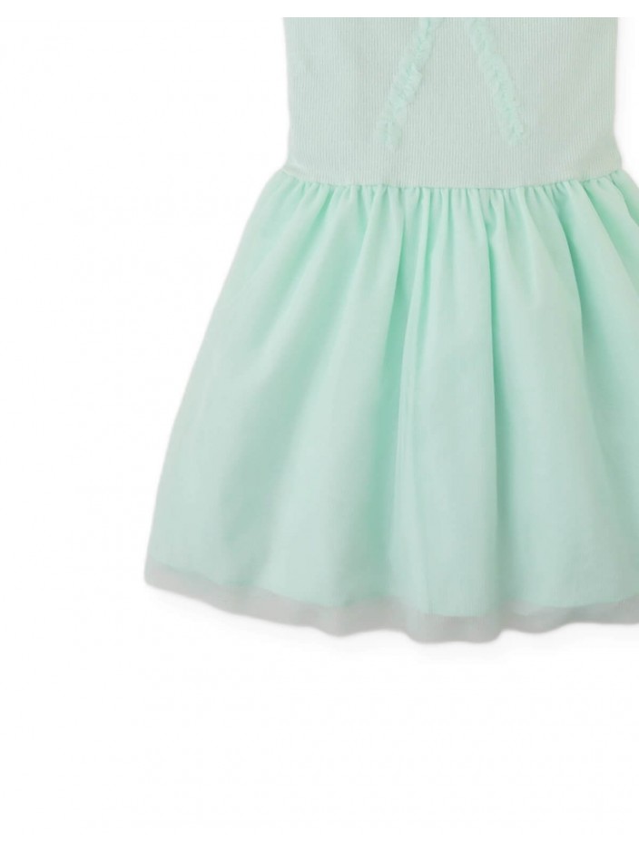 Elara Drop-Waist Dress with Tulle Skirt