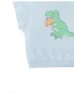 Winona Springtime Dino Graphic Terry Top