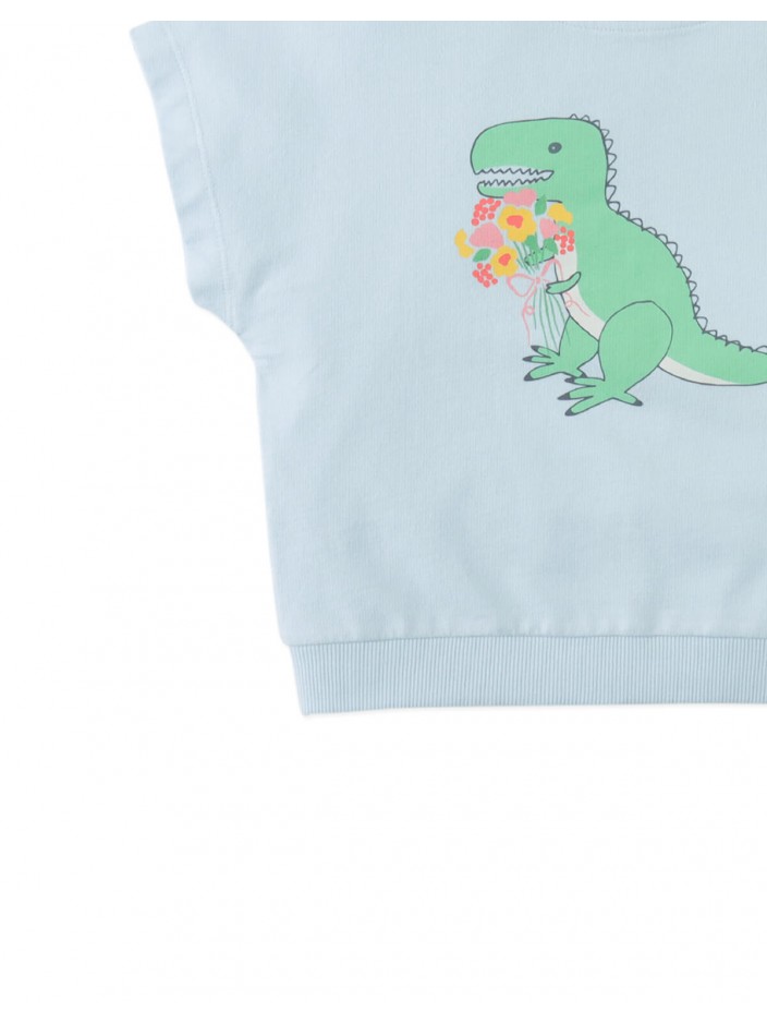Winona Springtime Dino Graphic Terry Top