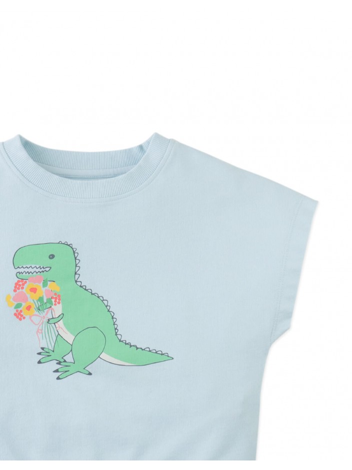 Winona Springtime Dino Graphic Terry Top