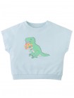 Winona Springtime Dino Graphic Terry Top