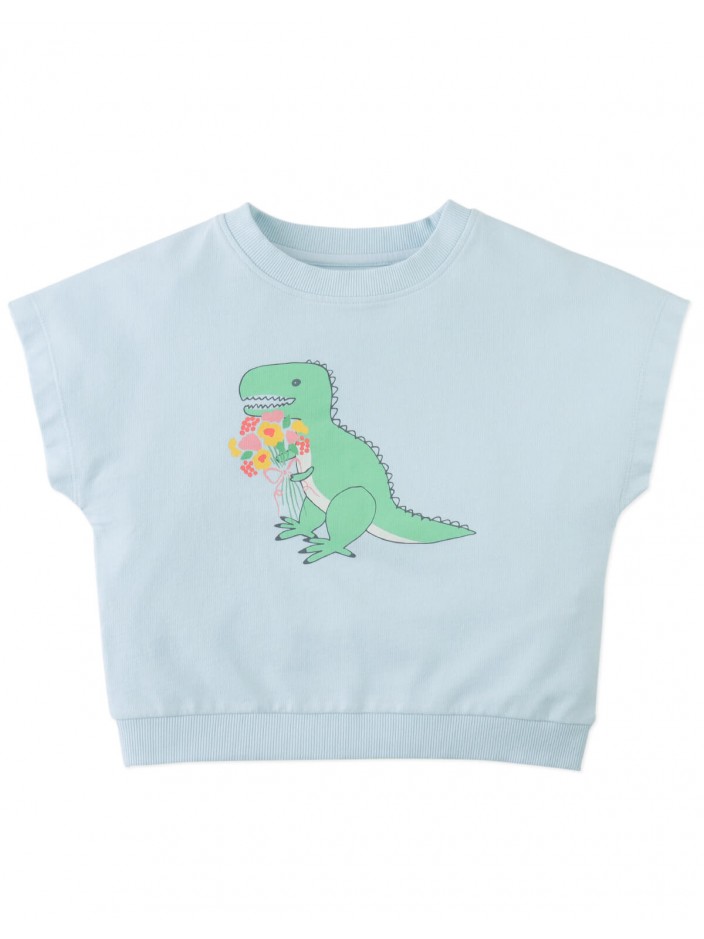 Winona Springtime Dino Graphic Terry Top