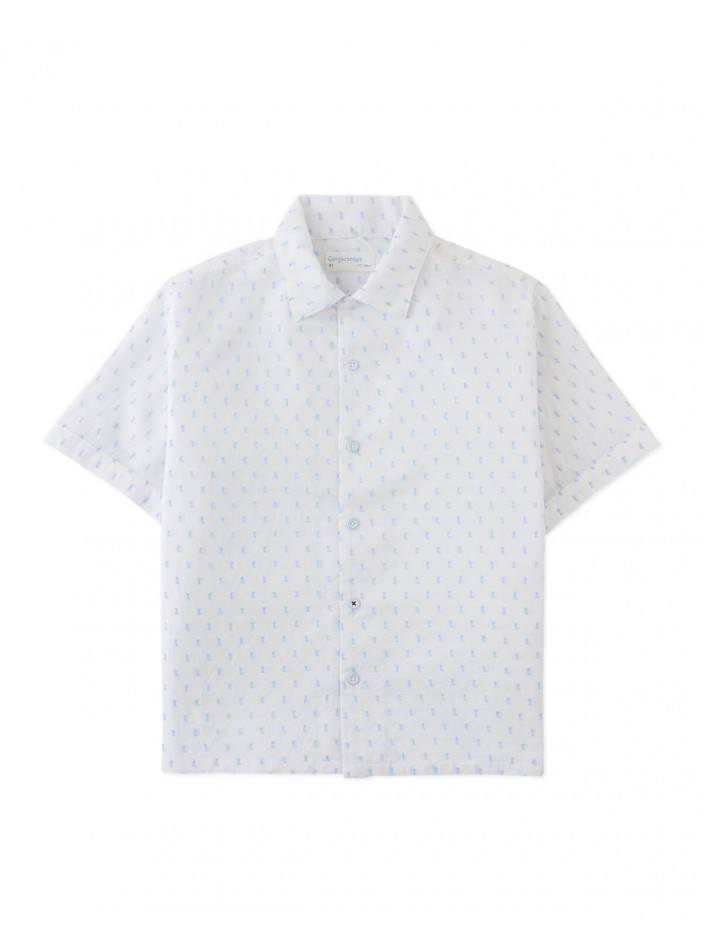 Arnold Textured Dobby Woven Shirt
