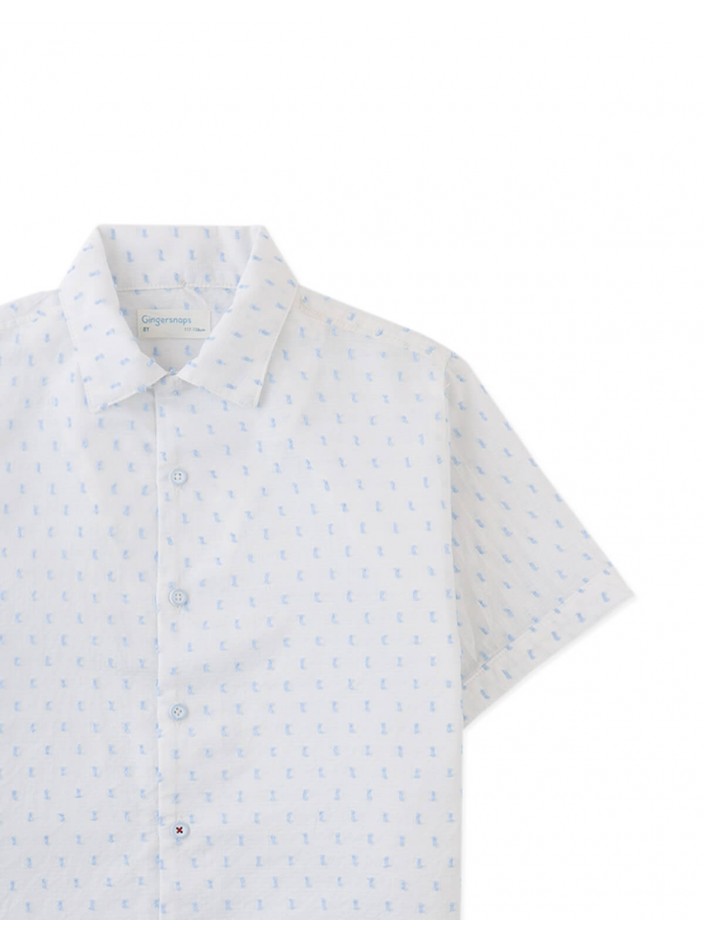 Arnold Textured Dobby Woven Shirt