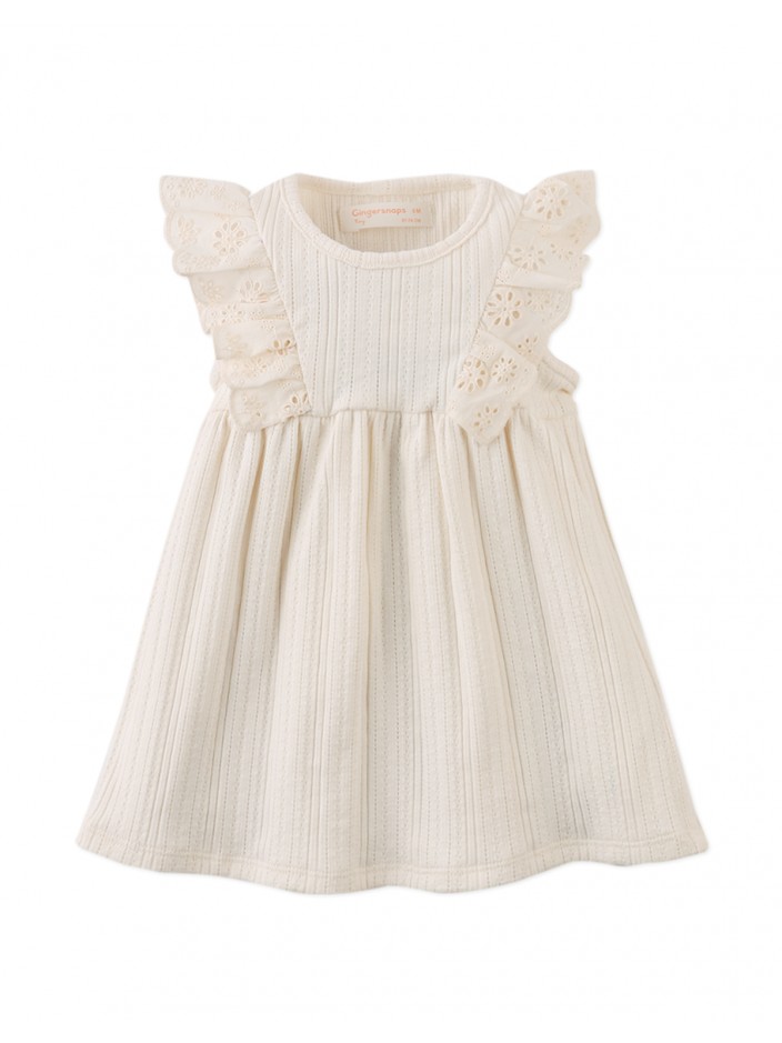 Baby Elowyn Ruffle Sleeved Dress with Embroidery Details
