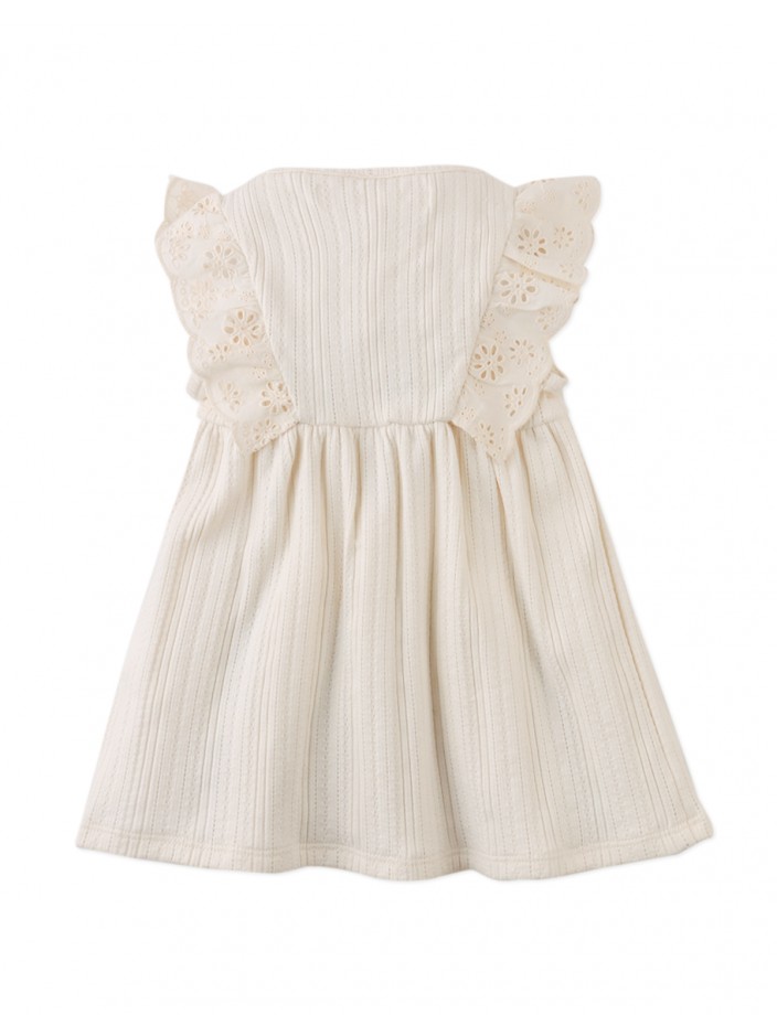 Baby Elowyn Ruffle Sleeved Dress with Embroidery Details
