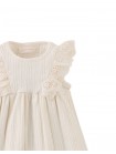 Baby Elowyn Ruffle Sleeved Dress with Embroidery Details