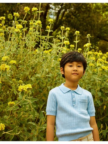 Reiner Polo Shirt with Striped Tipping Accents