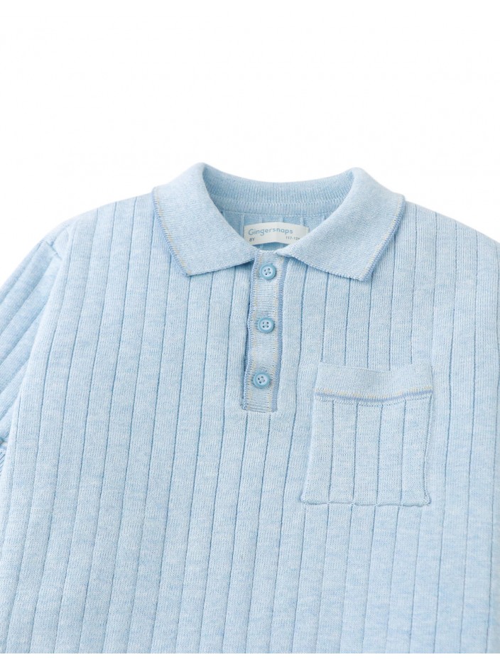 Reiner Polo Shirt with Striped Tipping Accents