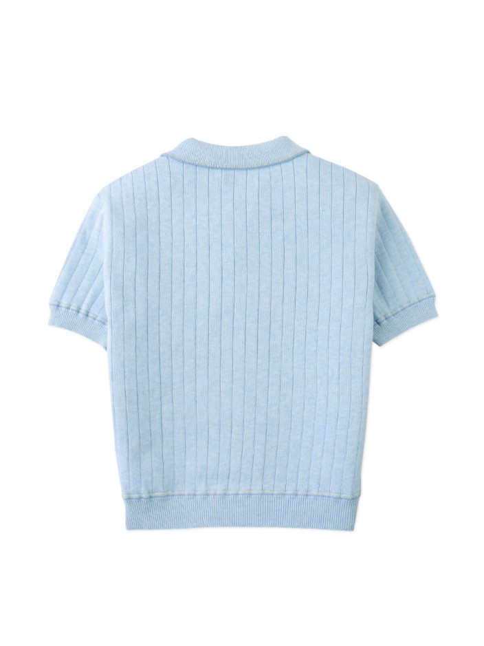 Reiner Polo Shirt with Striped Tipping Accents