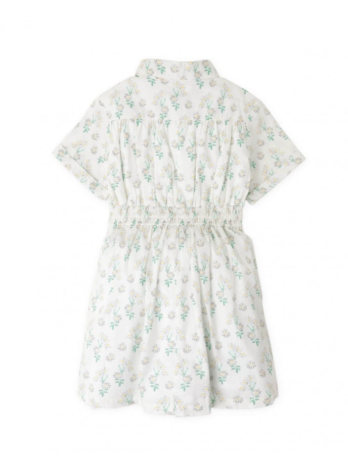 Gloria Daisy Print Dress with Notched Collar