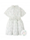 Gloria Daisy Print Dress with Notched Collar