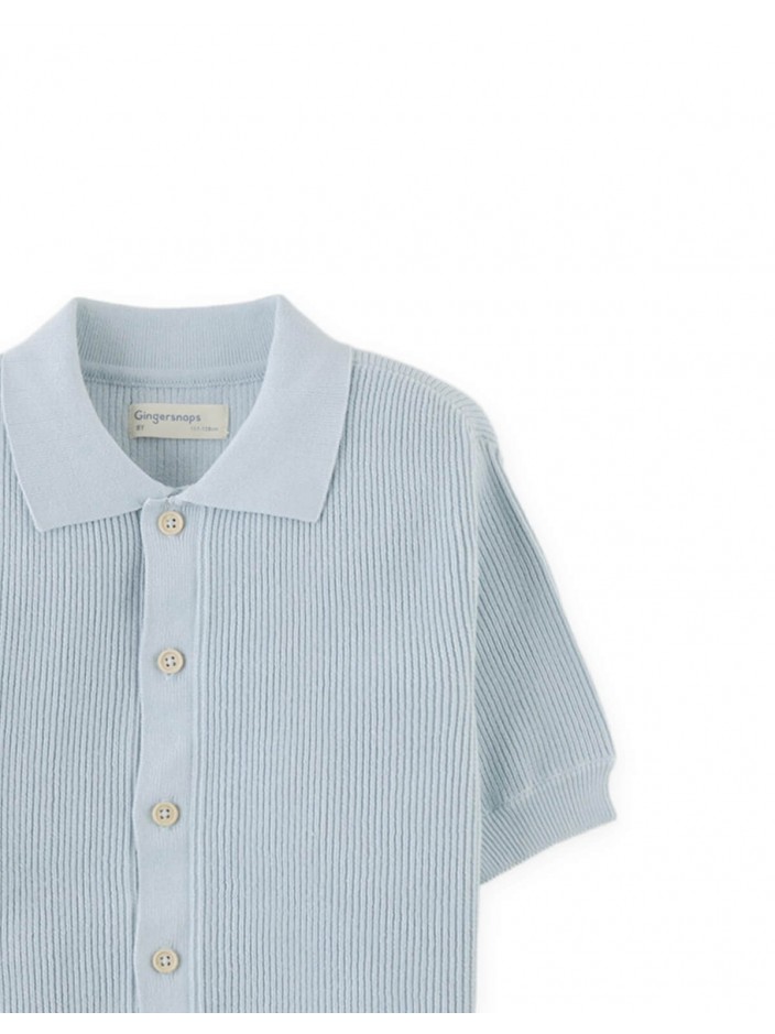 Jae Rib-Knit Button-Up Polo