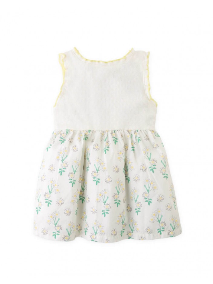 Floral Print Dress with Ruffle Sleeves & Rosette Appliqué