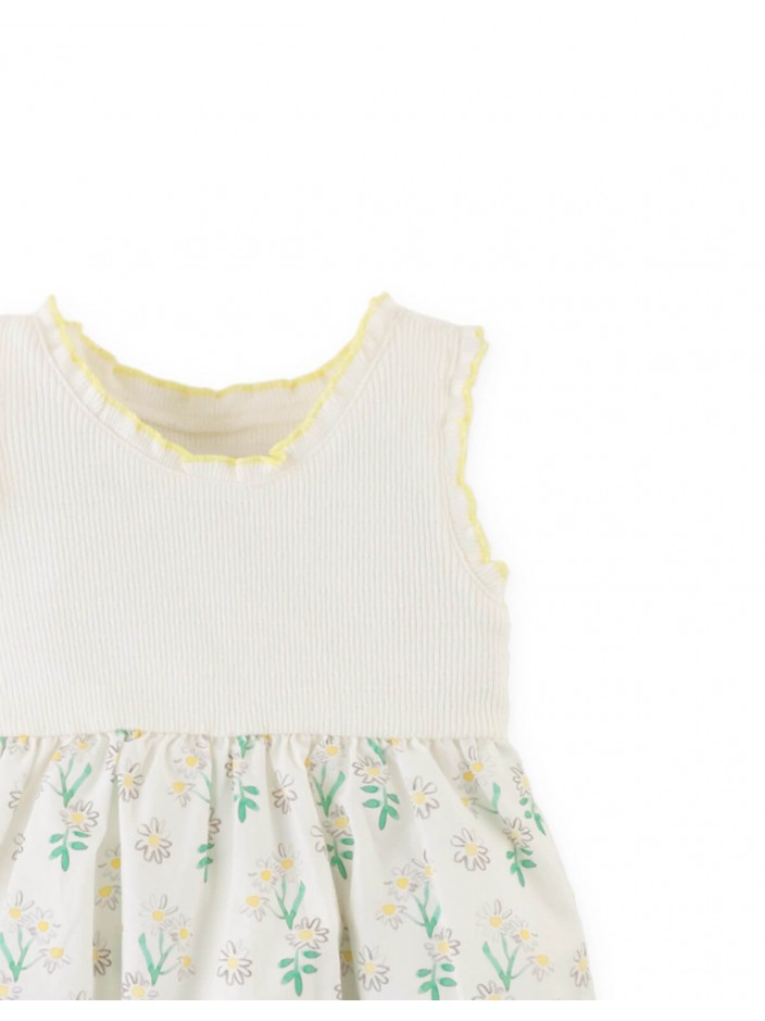 Floral Print Dress with Ruffle Sleeves & Rosette Appliqué
