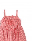 Baby Anthea Gingham Dress with Floral Appliqué