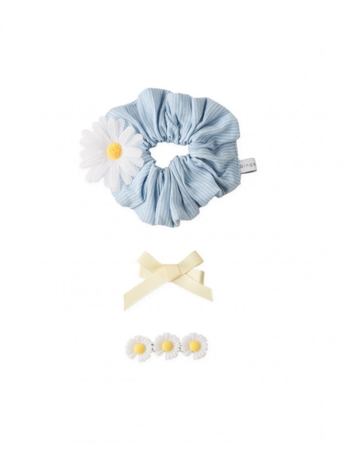 Mimi Daisy Ribbon Clip and Scrunchie Set