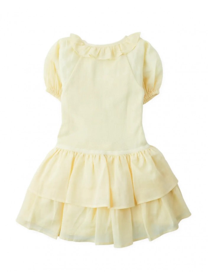 Faye Drop Waist Dress with Puff Sleeves