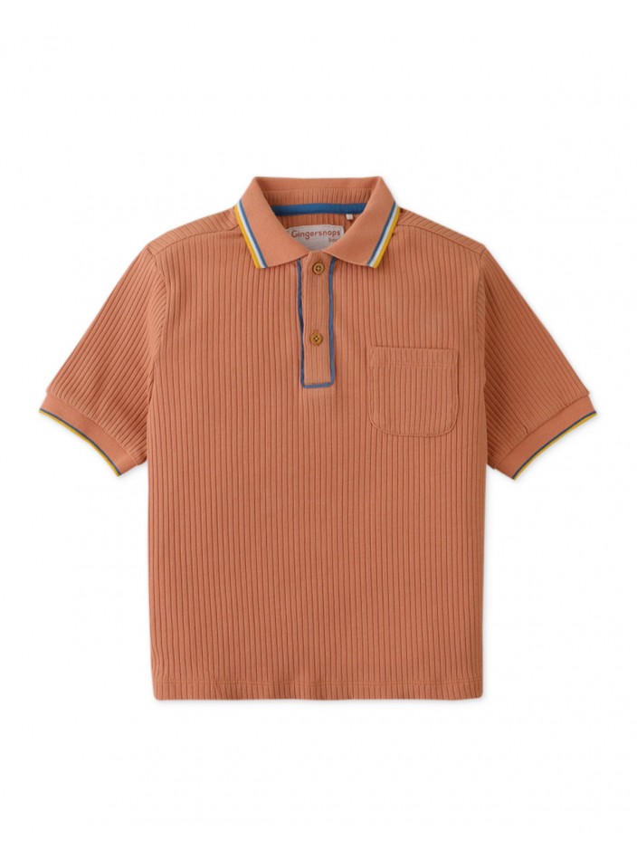 Gingersnaps Boys Retro Stripe Polo Shirt