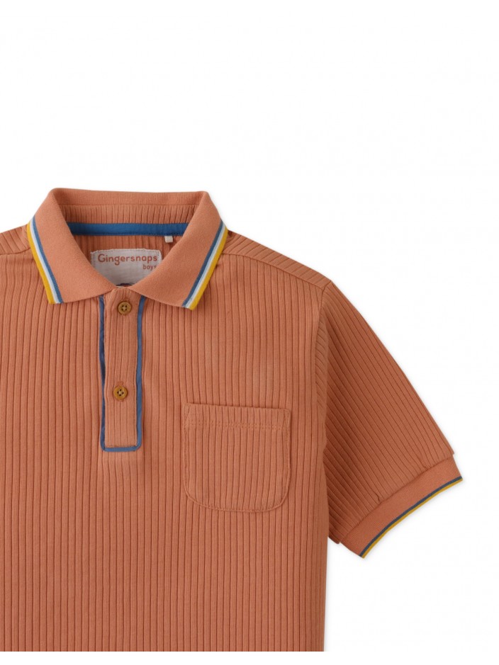 Gingersnaps Boys Retro Stripe Polo Shirt